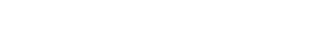 Horseplay Toys