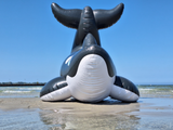 Inflatable Orca Whale by Dirty Bird