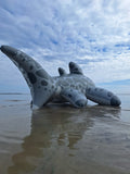 Triakis - Inflatable Leopard Shark by Buteo