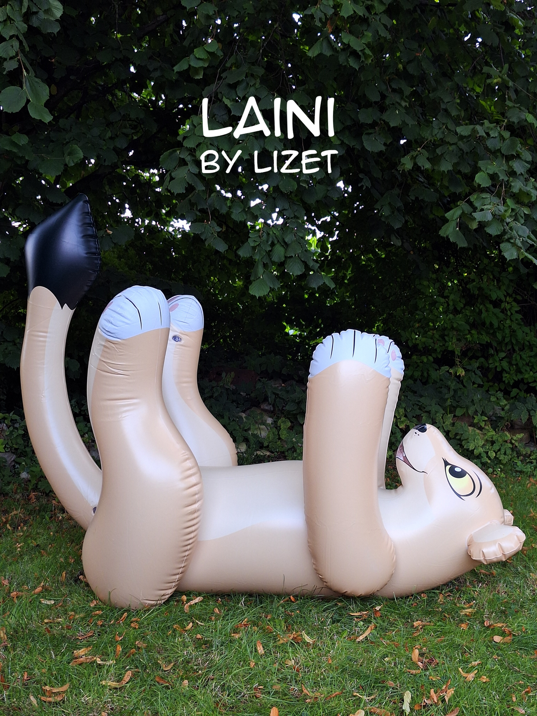how much for a sex doll The Best Sex Toys for Beginners main image 0