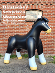 Inflatable Horse by Arin