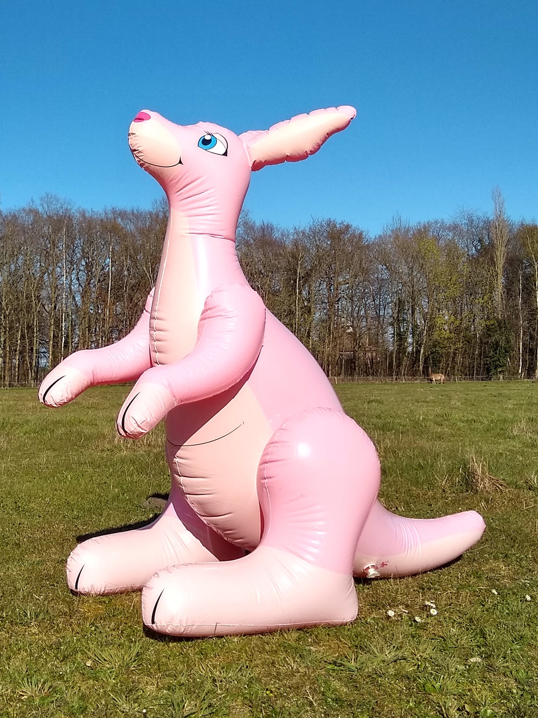 Inflatable Animals – Horseplay Toys